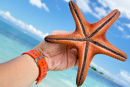 08_!